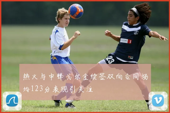 热火与中锋戈尔金续签双向合同场均123分表现引关注