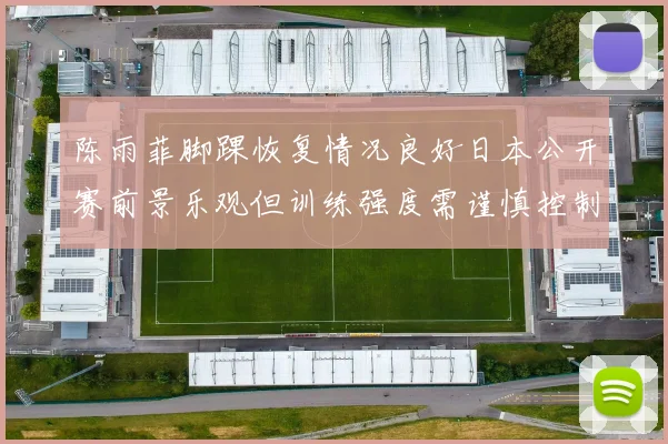 陈雨菲脚踝恢复情况良好日本公开赛前景乐观但训练强度需谨慎控制